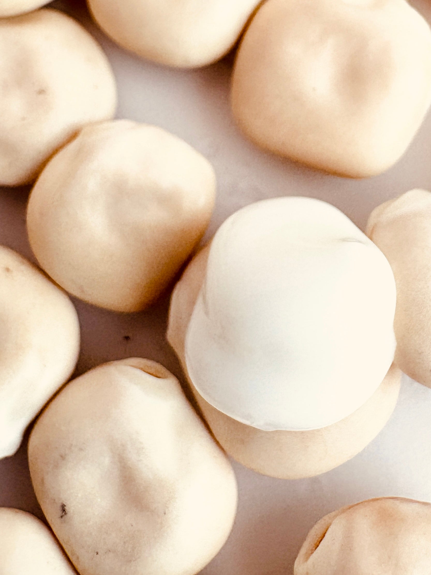 Close-up of several smooth, rounded beige lupin beans, arranged on a light neutral surface with lotion dolloped one one to show texture.